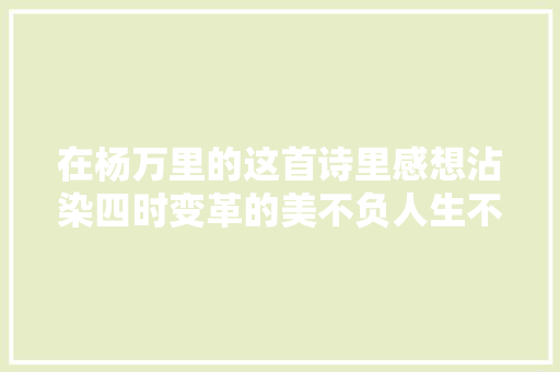在杨万里的这首诗里感想沾染四时变革的美不负人生不负碰见