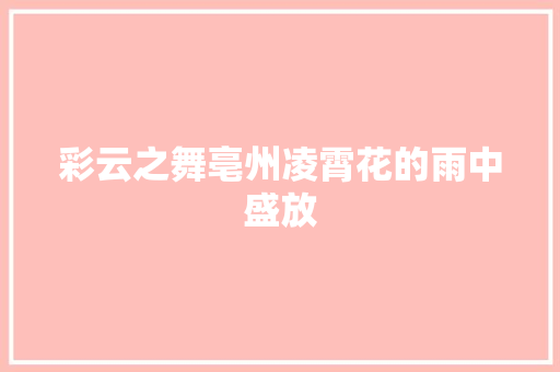 彩云之舞亳州凌霄花的雨中盛放