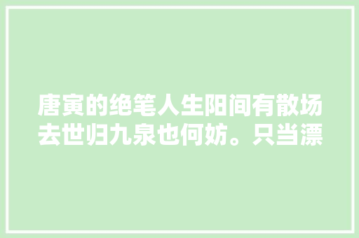 唐寅的绝笔人生阳间有散场去世归九泉也何妨。只当漂流在异域