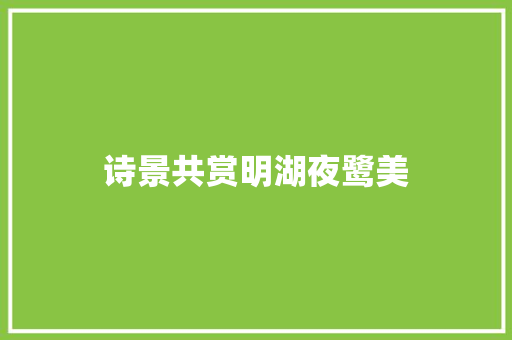 诗景共赏明湖夜鹭美