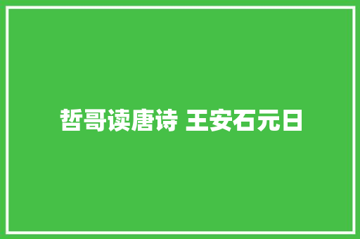 哲哥读唐诗 王安石元日
