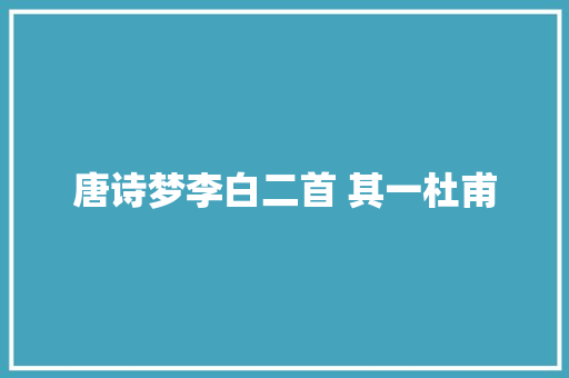 唐诗梦李白二首 其一杜甫