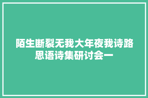 陌生断裂无我大年夜我诗路思语诗集研讨会一
