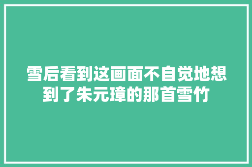 雪后看到这画面不自觉地想到了朱元璋的那首雪竹