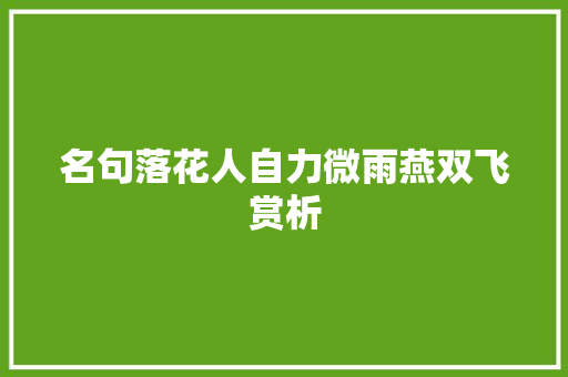 名句落花人自力微雨燕双飞赏析