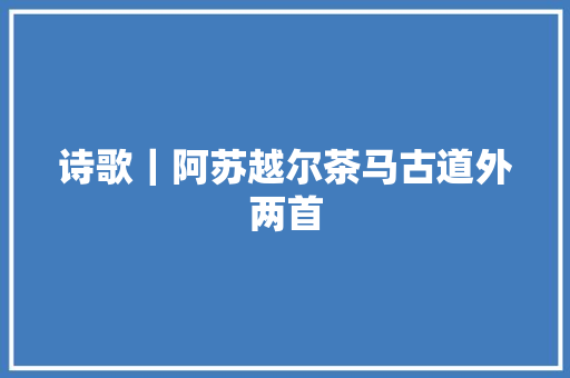 诗歌｜阿苏越尔茶马古道外两首