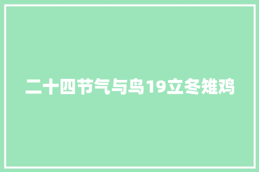 二十四节气与鸟19立冬雉鸡