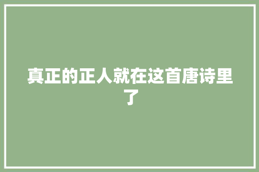 真正的正人就在这首唐诗里了