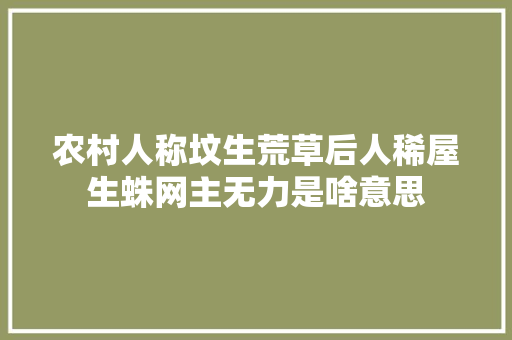 农村人称坟生荒草后人稀屋生蛛网主无力是啥意思