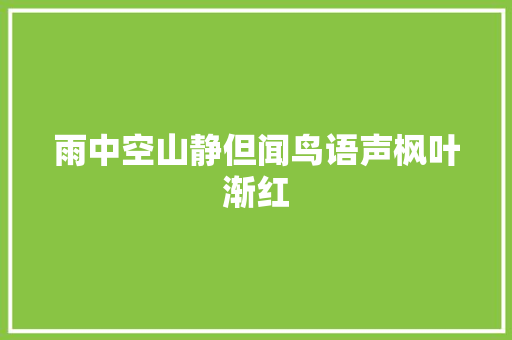 雨中空山静但闻鸟语声枫叶渐红