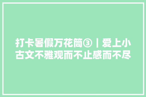 打卡暑假万花筒③｜爱上小古文不雅观而不止感而不尽