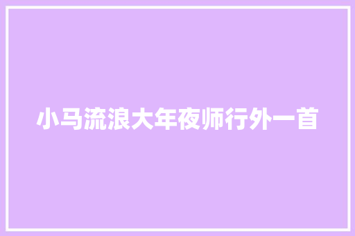小马流浪大年夜师行外一首 小马流浪大年夜师行外一首