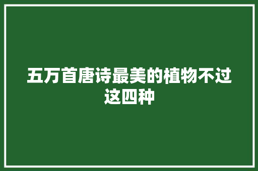 五万首唐诗最美的植物不过这四种