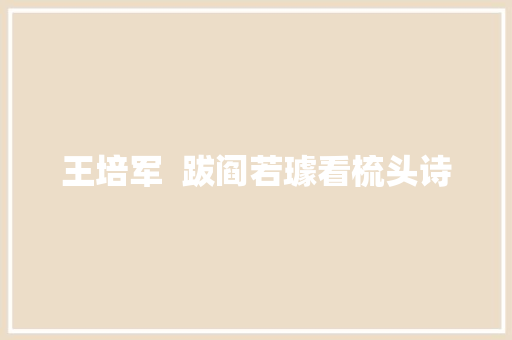 王培军  跋阎若璩看梳头诗