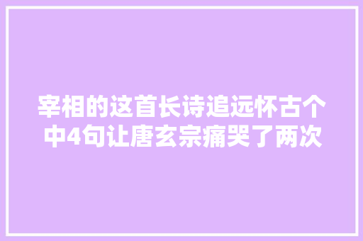 宰相的这首长诗追远怀古个中4句让唐玄宗痛哭了两次