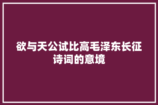 欲与天公试比高毛泽东长征诗词的意境