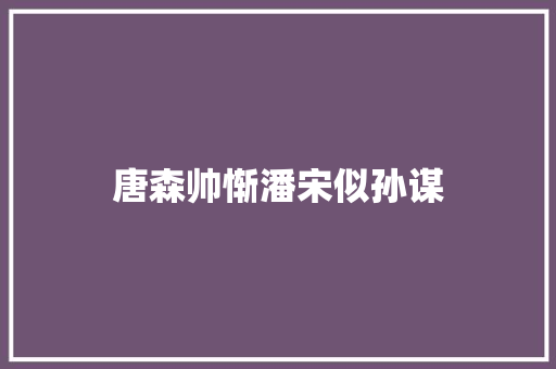唐森帅惭潘宋似孙谋