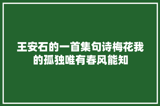 王安石的一首集句诗梅花我的孤独唯有春风能知