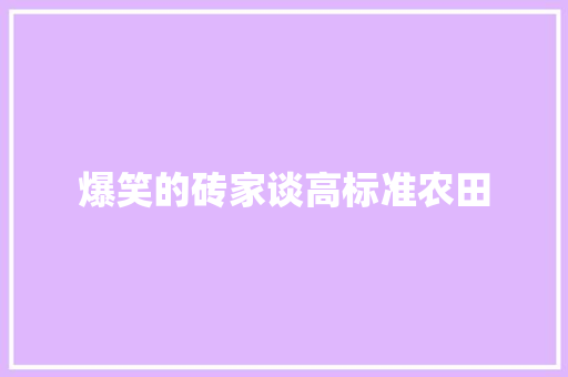爆笑的砖家谈高标准农田