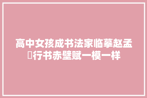 高中女孩成书法家临摹赵孟頫行书赤壁赋一模一样
