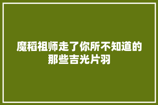 魔稻祖师走了你所不知道的那些吉光片羽