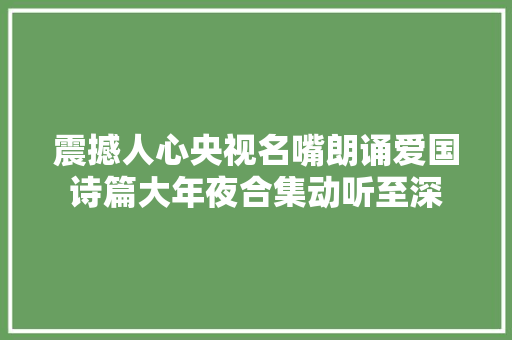 震撼人心央视名嘴朗诵爱国诗篇大年夜合集动听至深