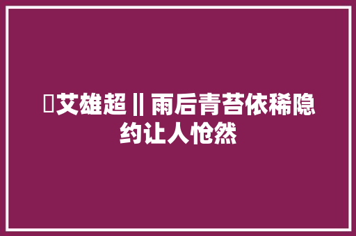 ​艾雄超‖雨后青苔依稀隐约让人怆然