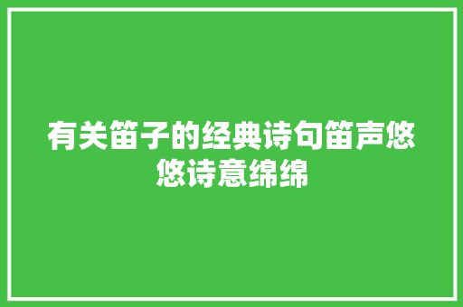 有关笛子的经典诗句笛声悠悠诗意绵绵