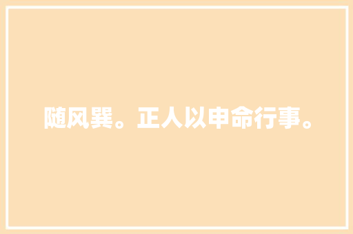 随风巽。正人以申命行事。