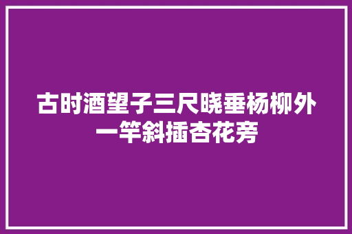 古时酒望子三尺晓垂杨柳外一竿斜插杏花旁