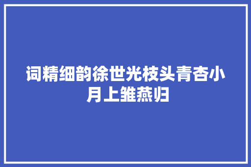 词精细韵徐世光枝头青杏小 月上雏燕归