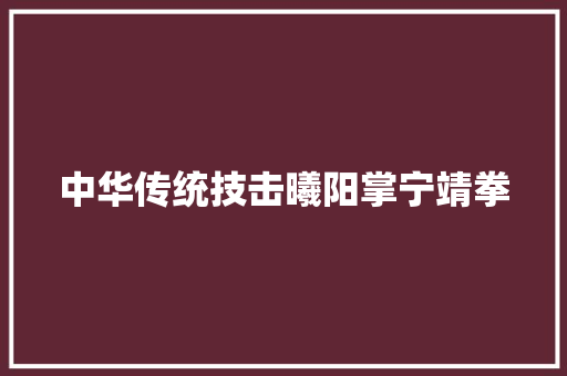 中华传统技击曦阳掌宁靖拳