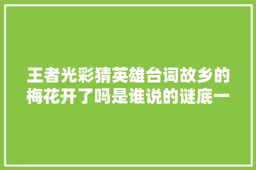 王者光彩猜英雄台词故乡的梅花开了吗是谁说的谜底一览