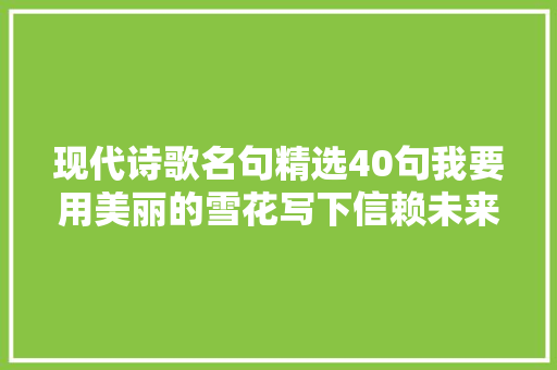 现代诗歌名句精选40句我要用美丽的雪花写下信赖未来