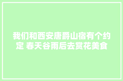 我们和西安唐爵山宿有个约定 春天谷雨后去赏花美食茗茶