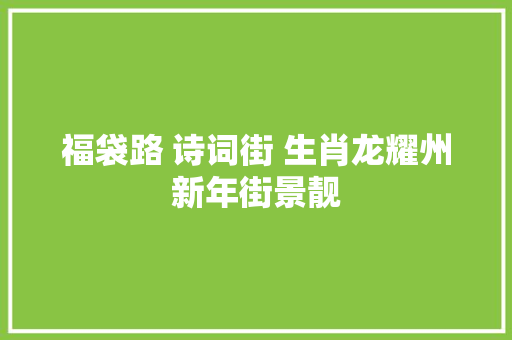 福袋路 诗词街 生肖龙耀州新年街景靓