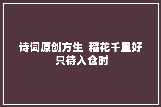 诗词原创方生  稻花千里好 只待入仓时