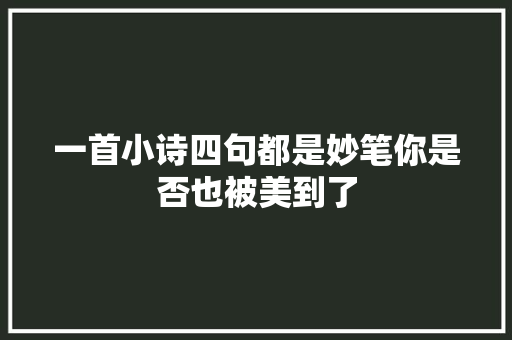 一首小诗四句都是妙笔你是否也被美到了