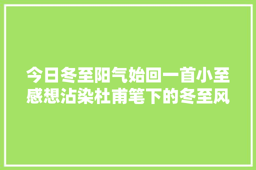 今日冬至阳气始回一首小至感想沾染杜甫笔下的冬至风情