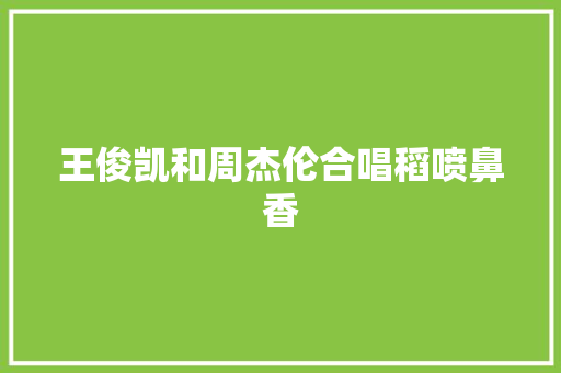 王俊凯和周杰伦合唱稻喷鼻香