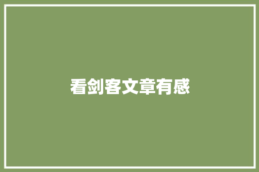 看剑客文章有感