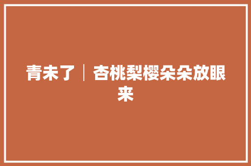 青未了│杏桃梨樱朵朵放眼来