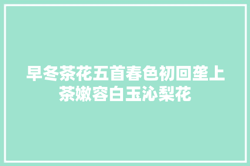 早冬茶花五首春色初回垄上茶嫩容白玉沁梨花