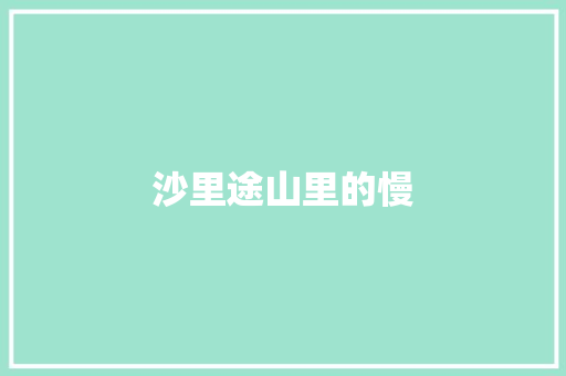 沙里途山里的慢