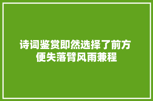 诗词鉴赏即然选择了前方 便失落臂风雨兼程