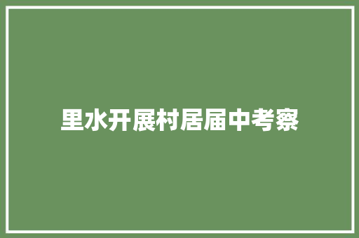 里水开展村居届中考察