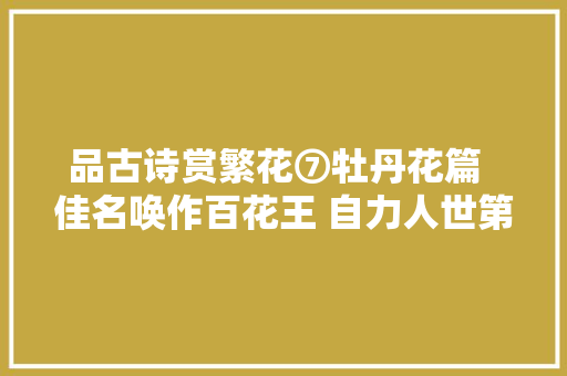 品古诗赏繁花⑦牡丹花篇  佳名唤作百花王 自力人世第一喷鼻香
