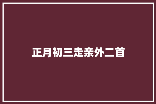 正月初三走亲外二首