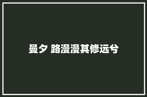 曼夕 路漫漫其修远兮