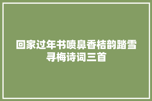 回家过年书喷鼻香桔韵踏雪寻梅诗词三首
